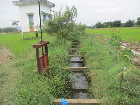 ình[-]Định:Bò[-]nhảy[-]lộ[-]bê[-]tông[-]cốt[-]gỗ,[-]chủ[-]đầu[-]tư[-]phán[-]do[-]công[-]nhân[-]"nghịch[-]ngợm"